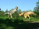 Modele dinozaurów