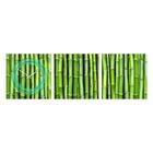 Zegar ścienny - obraz 4MyArt  Green Bamboo II, 105 x 35cm