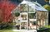 Szklarnia ogrodowa Juliana Kompakt 500 szkło ogrodnicze