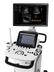 Samsung Medison UGEO H60 - zaawansowany technologicznie ultrasonograf