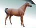 Koń naturalnej wielkości/ Fiberglass Horse